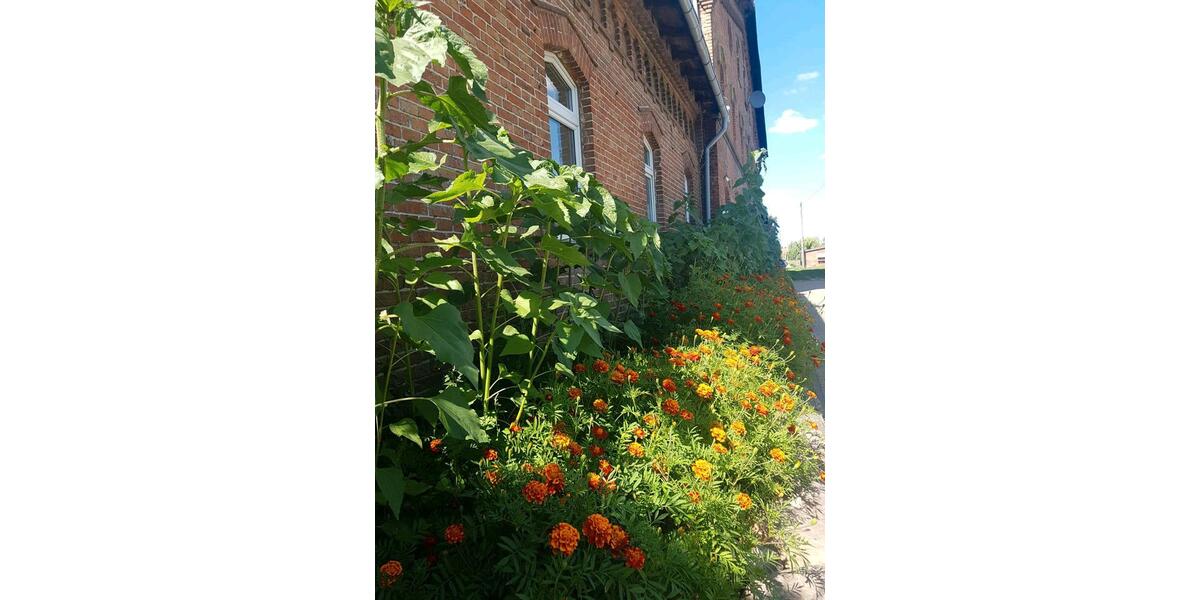 Etagenwohnung Lalendorf - 9999.9 Zimmer, 1.300 m&sup2;, 8&euro; | Angebot:20625179