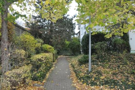 gemütliche Dachgeschosswohnung 2 zimmer