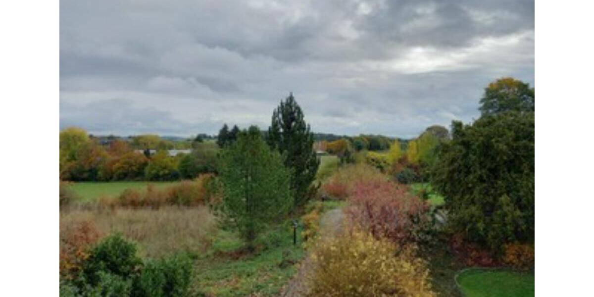 Erdgeschoßwohnung Dierdorf - 4 Zimmer, 120 m&sup2;, 960&euro; | Angebot:25755107