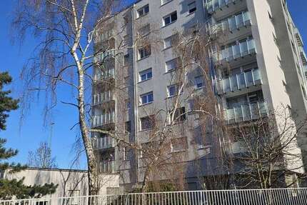 Wohnung zum Mieten in Hanau 470 € 31 m² 1 zimmer