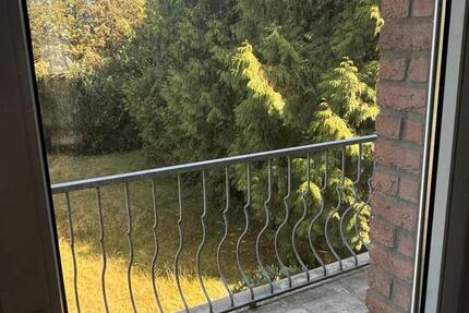 Sehr helle Wohnung zu vermieten (2 Etage) zimmer