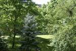 Idyllischer Wohntraum nahe dem Tierpark