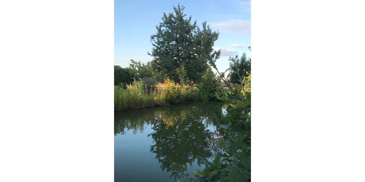 Wohnen auf Zeit Greven - 2 Zimmer, 50 m&sup2;, 80&euro; | Angebot:25903731