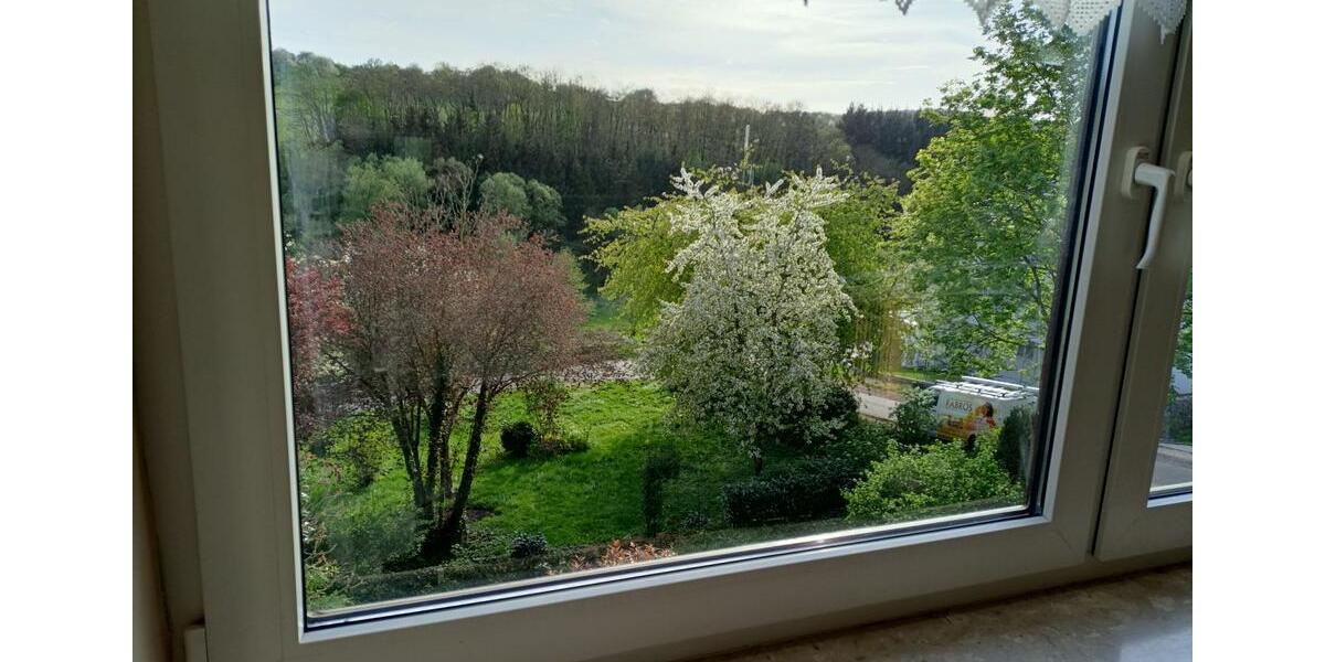 Etagenwohnung Ayl - 4 Zimmer, 80 m&sup2;, 690&euro; | Angebot:26700502