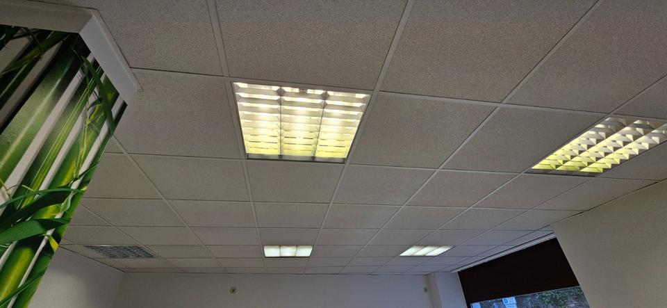 Gewerbeobjekt Colditz - 600&euro; | Angebot:20834151