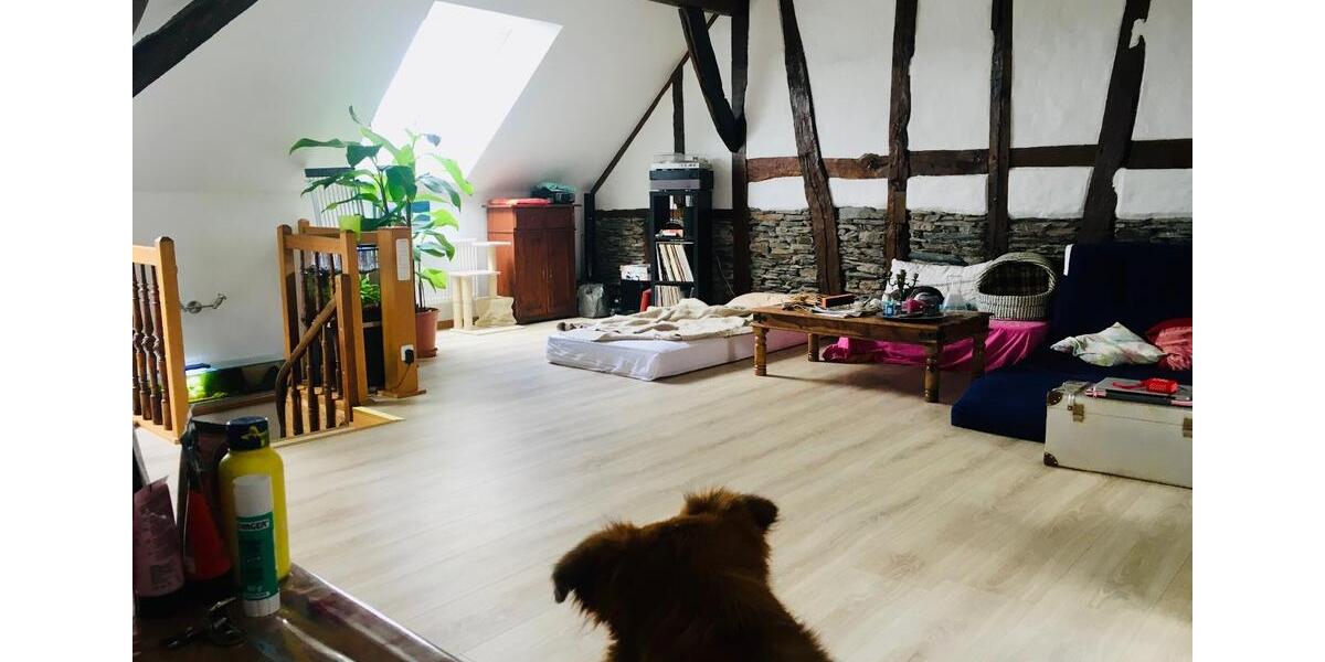 Geräumiges Dachgeschoss in tierfreundlichem Haus mit Garten 1 zimmer