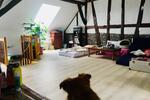 Geräumiges Dachgeschoss in tierfreundlichem Haus mit Garten 1 zimmer