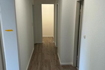 3 Zimmer Wohnung zu vermieten