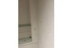 Gewerbeobjekt Glückstadt - 750&euro; | Angebot:26238443