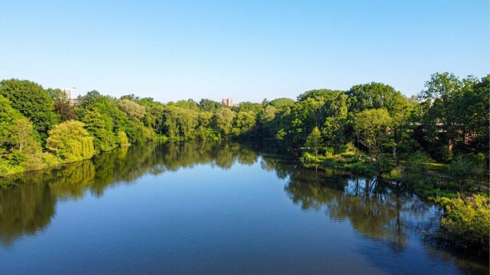 Dachgeschoßwohnung Hamburg Wandsbek - 2 Zimmer, 61 m&sup2;, 1.213&euro; | Angebot:26005682