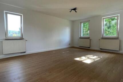 Lichtdurchflutete 2-Raum-Wohnung für 300€ kalt 2 zimmer