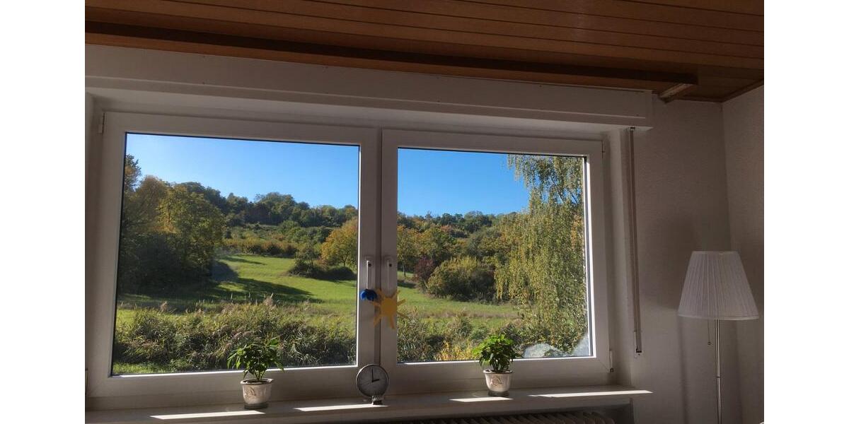 Erdgeschoßwohnung Ingelheim am Rhein - 4 Zimmer, 100 m&sup2;, 1.200&euro; | Angebot:26038590