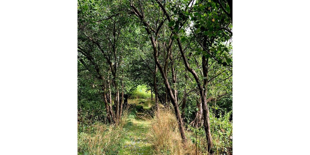 Erdgeschoßwohnung Templin - 2 Zimmer, 70 m&sup2;, 560&euro; | Angebot:25633047