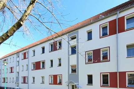 Wohnung Zwickau Marienthal Ost - 1 Zimmer, 29 m&sup2;, 174&euro; | Angebot:27286151