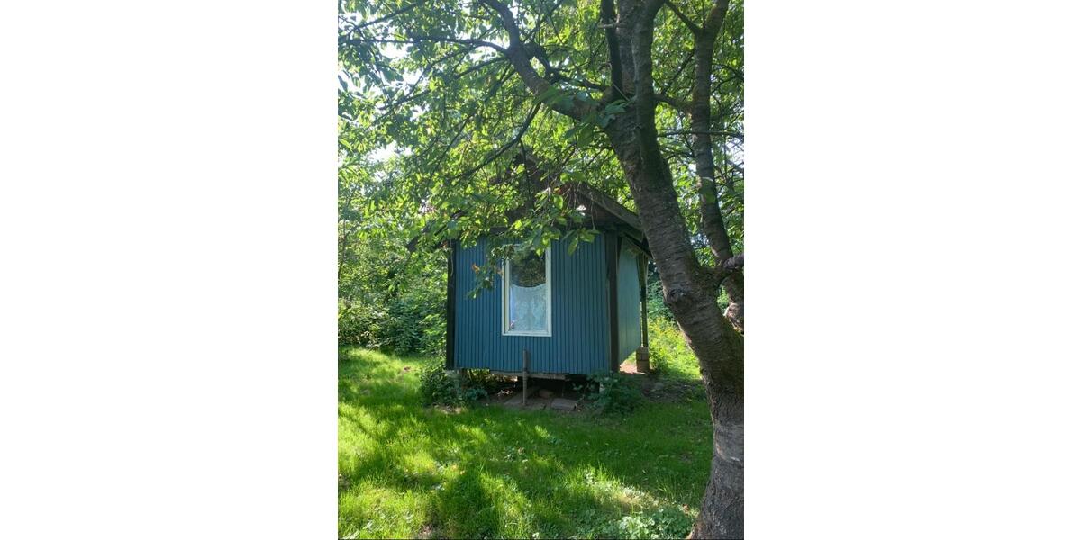 Dachgeschoßwohnung Bücken - 1 Zimmer, 43 m&sup2;, 495&euro; | Angebot:26220574