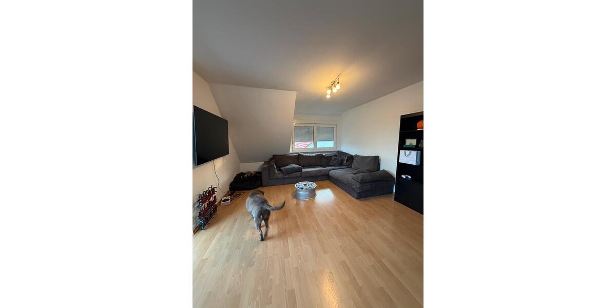 Dachgeschoßwohnung Windsbach - 2 Zimmer, 53 m&sup2;, 590&euro; | Angebot:25875130