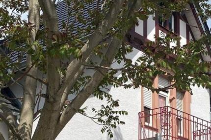 Modernes Co-Working im Kulturdenkmal - Bensheim-Auerbach - All-in-Miete