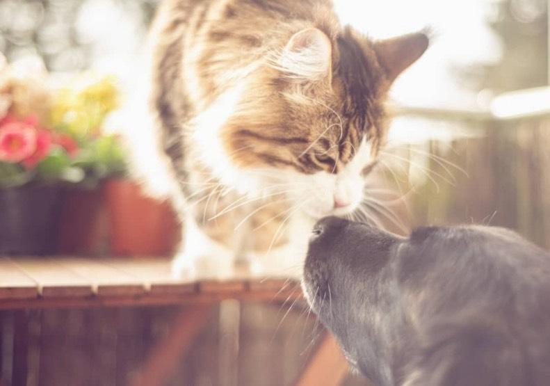 Wohnen auf Zeit Flensburg - 1 Zimmer, 16 m&sup2;, 400&euro; | Angebot:25402718