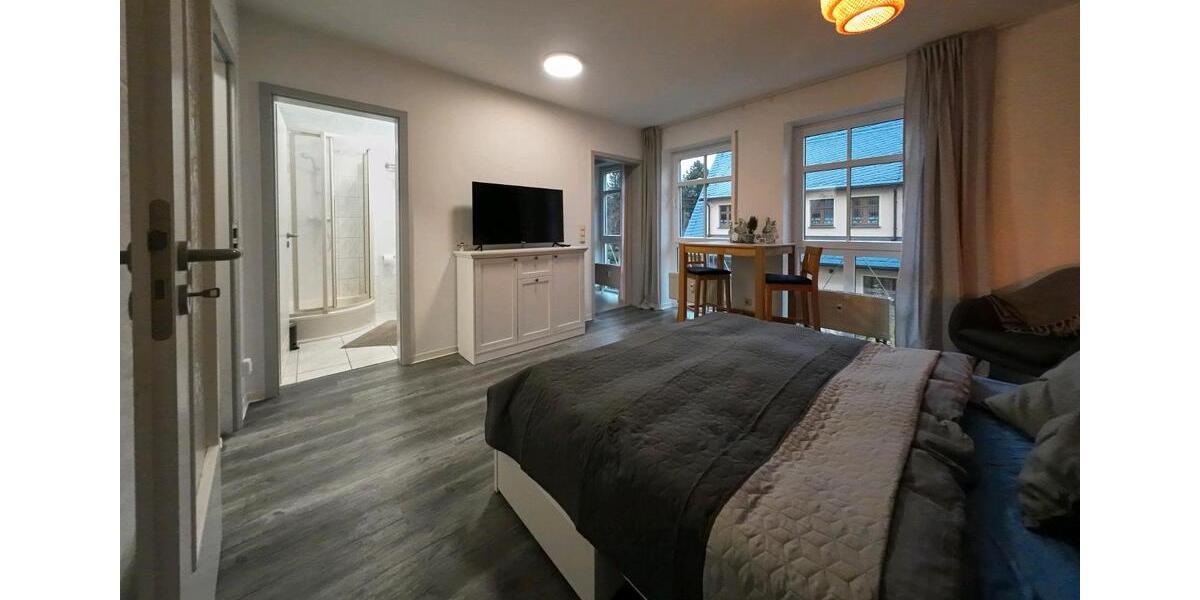 Wohnen auf Zeit Chemnitz Rabenstein - 1 Zimmer, 24 m&sup2;, 700&euro; | Angebot:25401876
