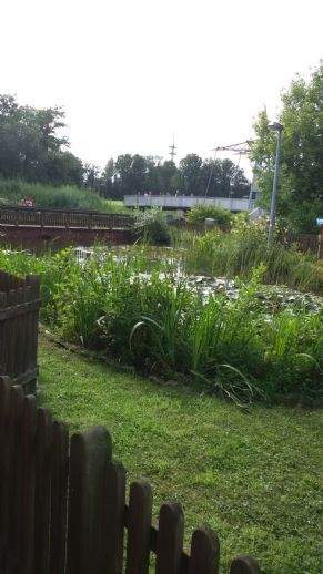 Etagenwohnung Aurich Innenstadt - 2 Zimmer, 84 m&sup2;, 650&euro; | Angebot:23960917