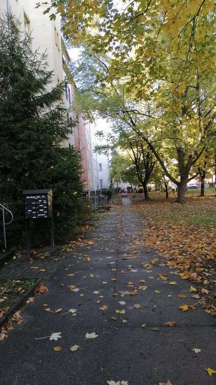 Wohnung zum Mieten in Dresden 390 € 54.1 m² 3 zimmer