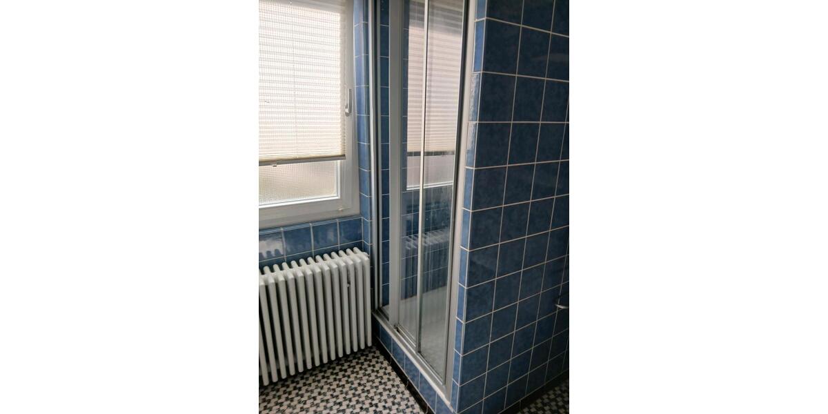 Wohnen auf Zeit Grenzach-Wyhlen Wyhlen - 9 Zimmer, 300 m&sup2;, 399&euro; | Angebot:26153925