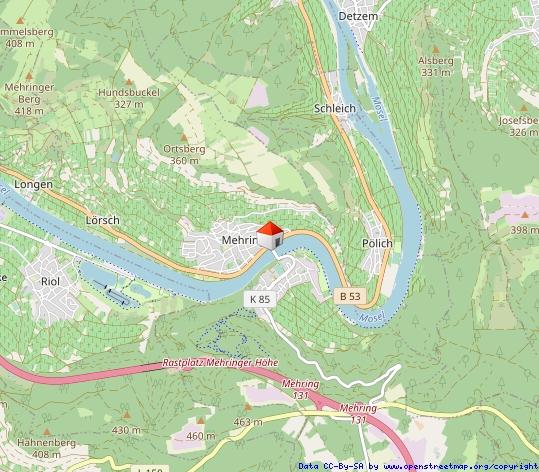 Erdgeschoßwohnung Mehring - 2 Zimmer, 79 m&sup2;, 1.060&euro; | Angebot:25320711