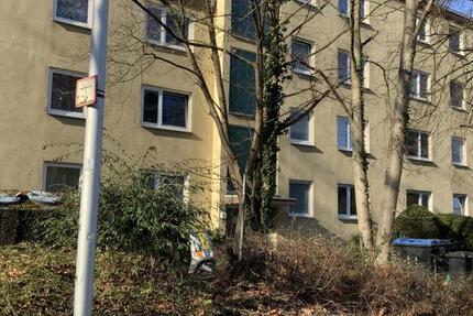 öffentlich geförderte 3-Zimmer-Wohnung ab 01.11.2025 zu vermieten zimmer