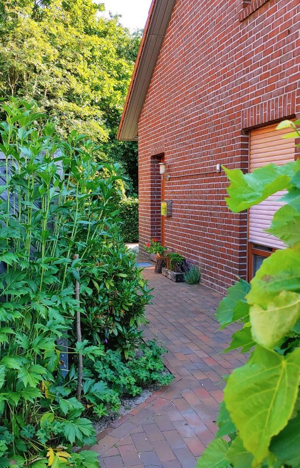 Möblierte, ruhige und helle Singlewohnung. Neu renoviert zimmer