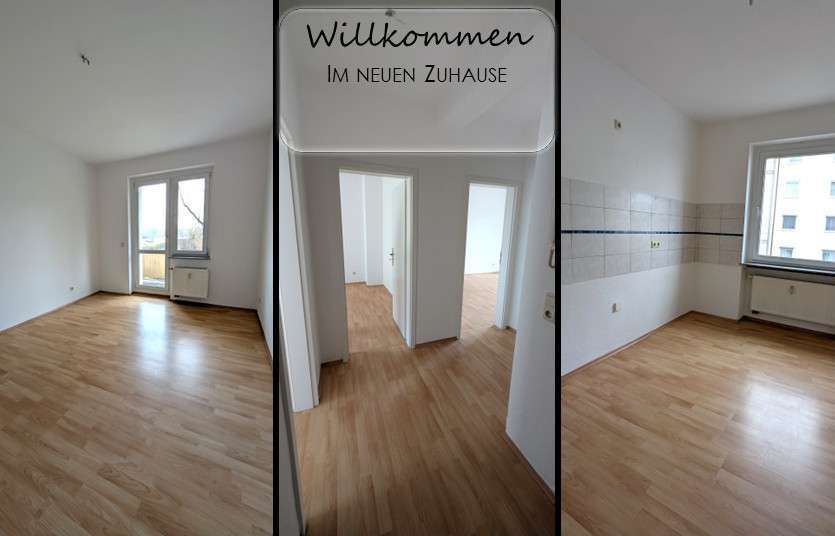 Wohnung zum Mieten in Plauen 240 € 48 m² 2 zimmer