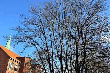 Wohnung Lübeck Innenstadt - 2 Zimmer, 68 m&sup2;, 1.326&euro; | Angebot:26015765