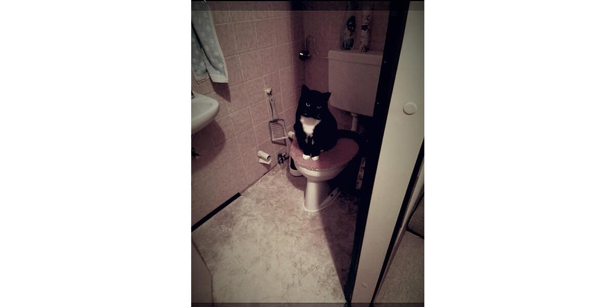 Wohnen auf Zeit Köln Mülheim - 1 Zimmer, 15 m&sup2;, 699&euro; | Angebot:25864033