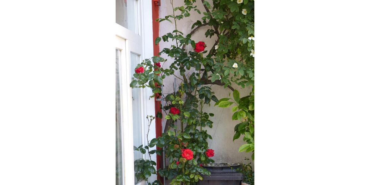 Wohnen auf Zeit Flensburg Altstadt - 2 Zimmer, 50 m&sup2;, 950&euro; | Angebot:25714698