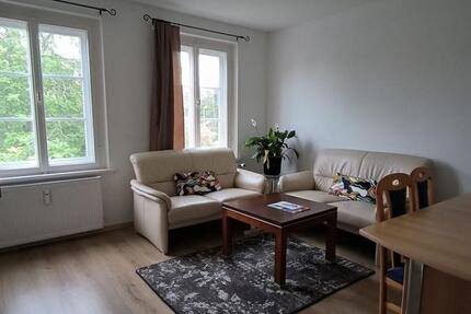 Wohnen auf Zeit Wolfsburg - 1 Zimmer, 16 m&sup2;, 450&euro; | Angebot:24789562