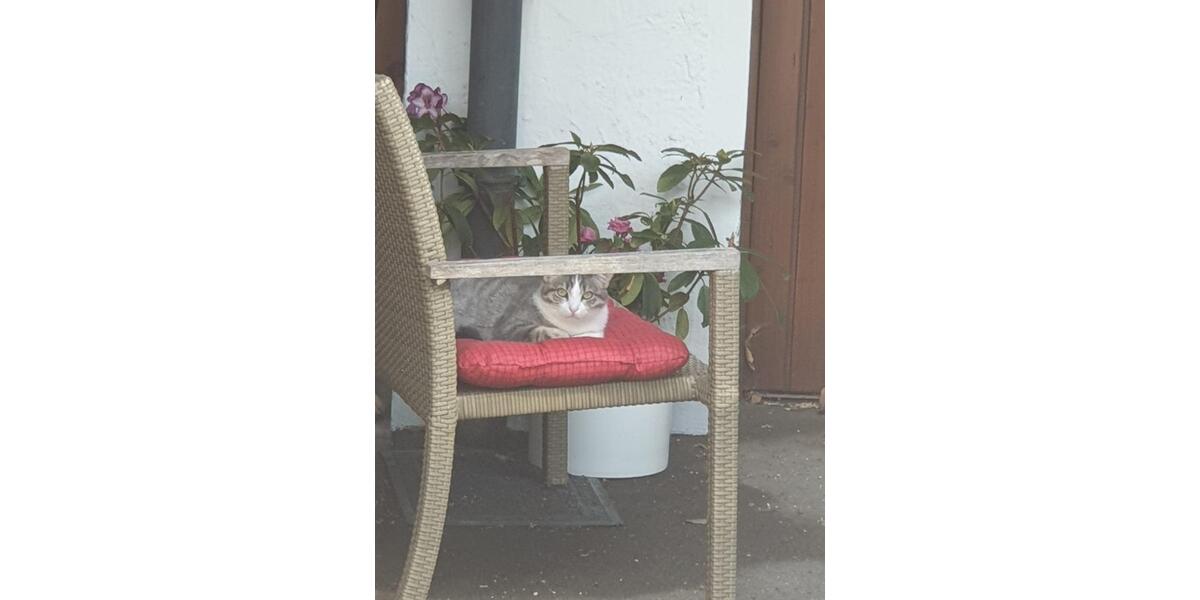 Etagenwohnung Memmingen - 3 Zimmer, 119 m&sup2;, 1.190&euro; | Angebot:24283957