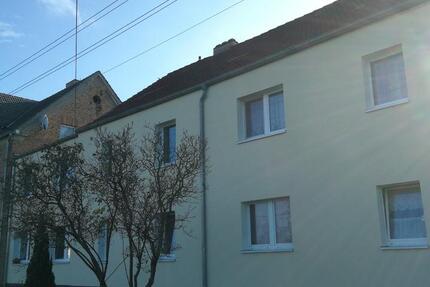 3-Zimmer Wohnung in Sallgast ab 01.11.2025 frei 3 zimmer