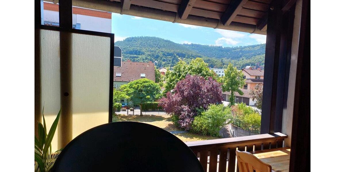 34 qm Wohnung in Miltenberg ab 01.04.26 an Senioren zu vermieten 1 zimmer