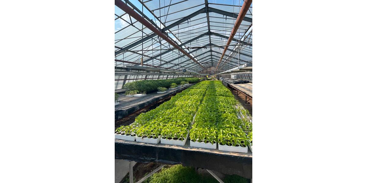 Gewerbeobjekt Obertshausen - 2&euro; | Angebot:20110778