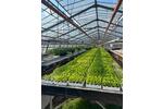 Zu vermieten Gewächshausflächen Anbauflächen ab 150qm zimmer
