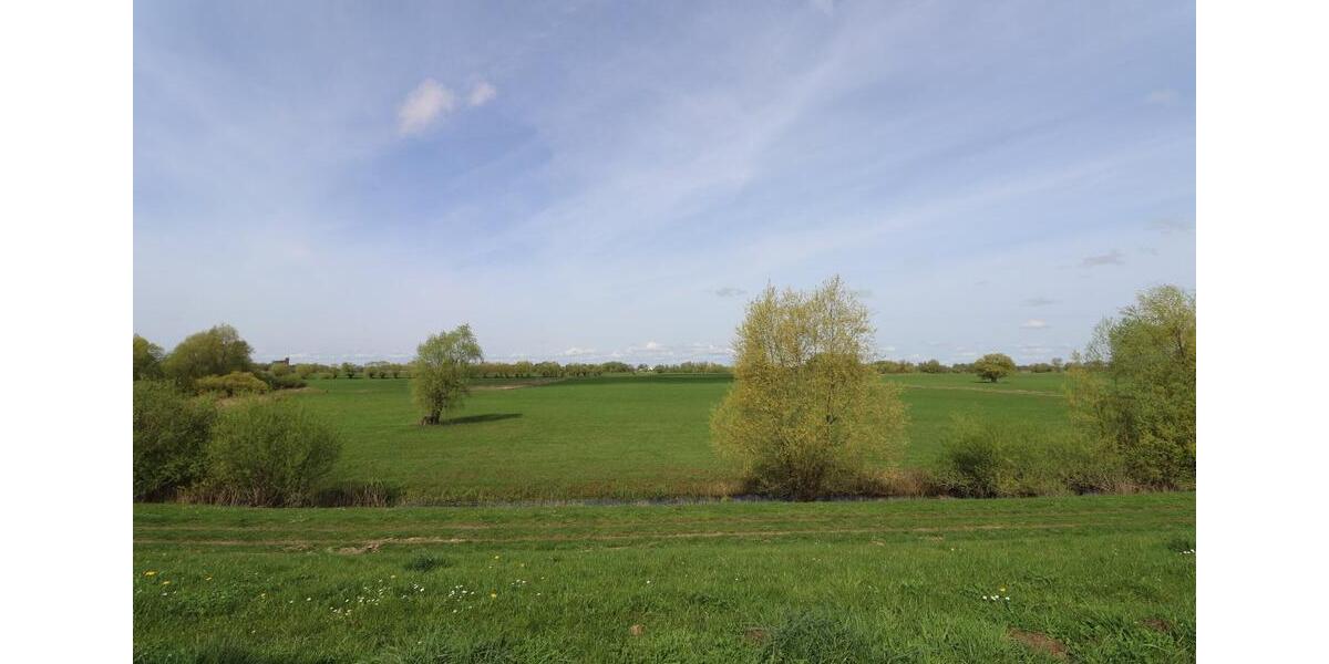 3 Zimmer Wohnung direkt am Elbdeich 4 zimmer