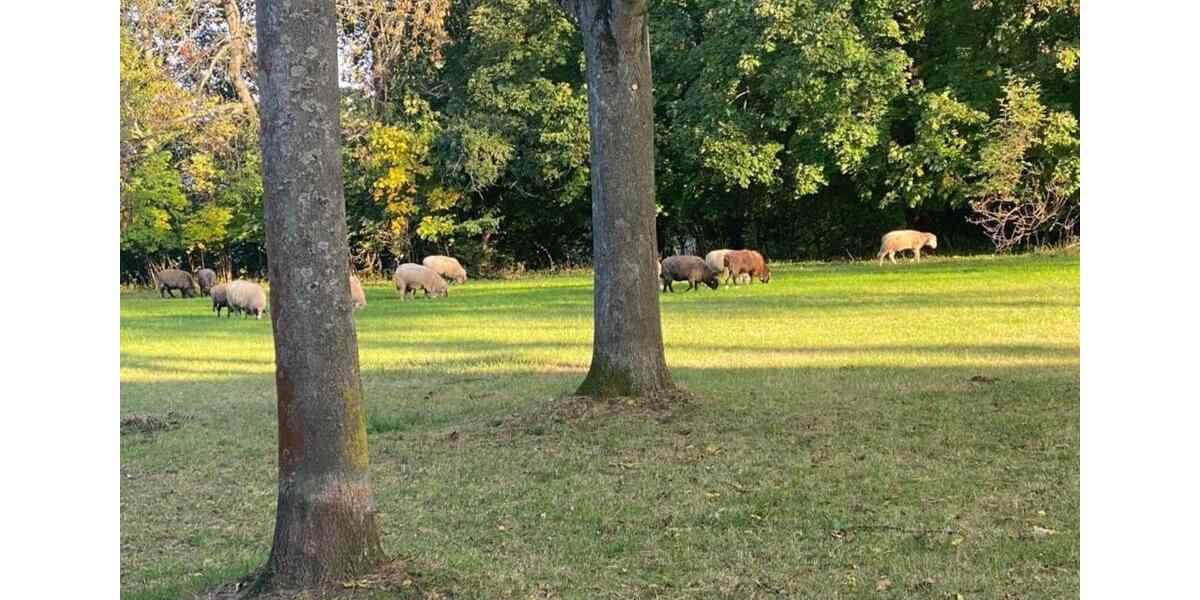 Ruhig & im Grünen: Sonnige 2Z im Loftstil mit eigenem Süd-Garten 2 zimmer