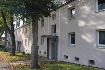 Vier Wände zum Wohlfühlen. 3 zimmer