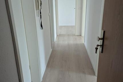 Günstige, sonnige 3-Raumwohnung mit schnellem Internanschluß 3 zimmer