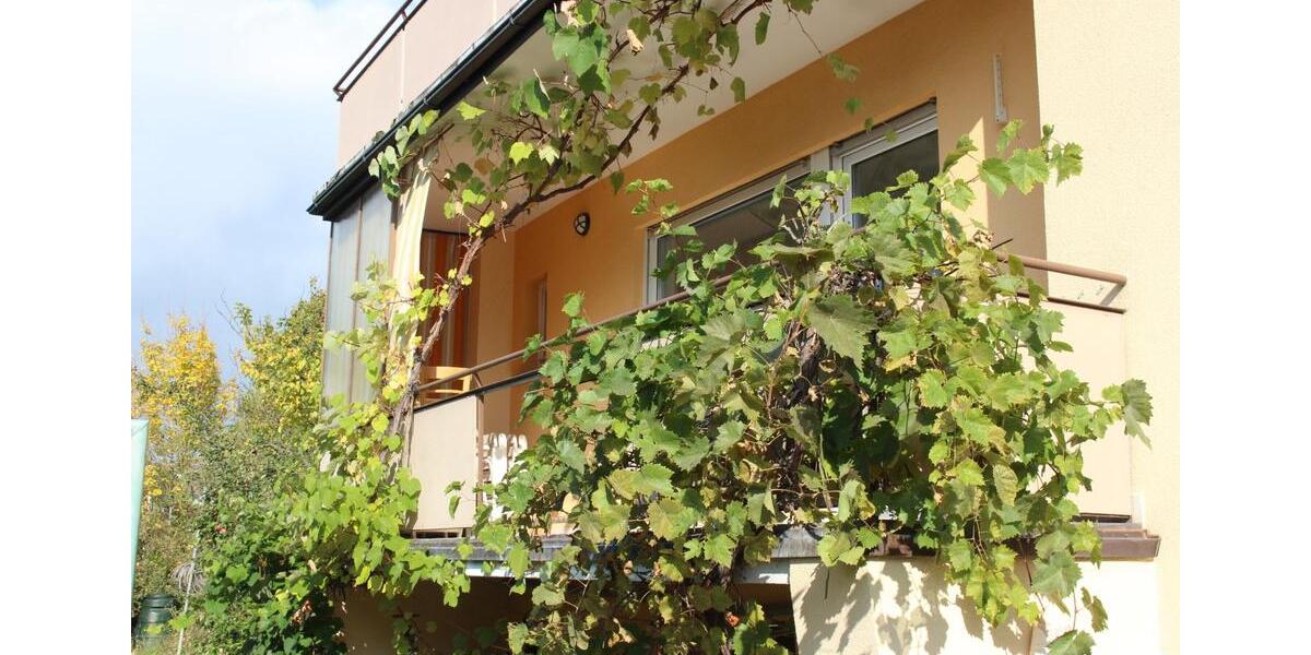 Erdgeschoßwohnung Münnerstadt - 2 Zimmer, 78 m&sup2;, 650&euro; | Angebot:25639620