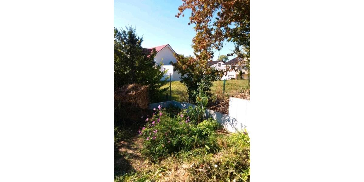 Wohnen auf Zeit Kieselbronn - 1 Zimmer, 12 m&sup2;, 420&euro; | Angebot:26642119
