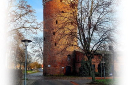 Wohnung Pasewalk - 2 Zimmer, 46 m&sup2;, 387&euro; | Angebot:24430463