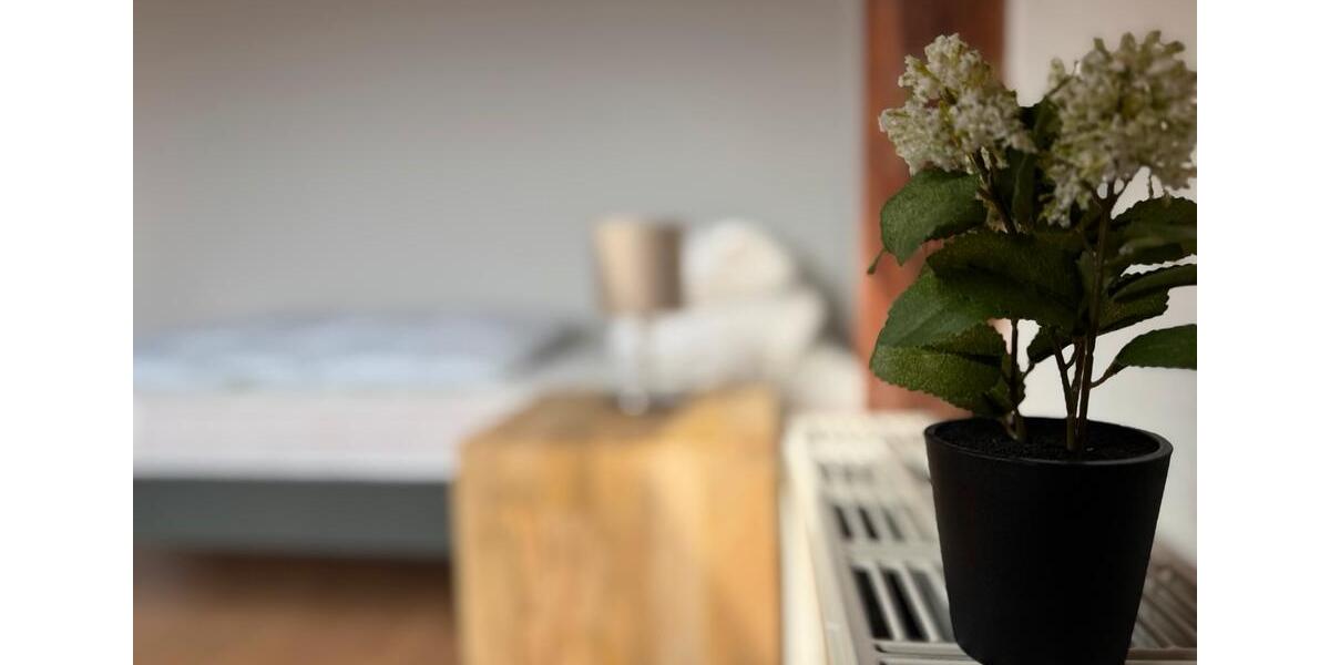 Wohnen auf Zeit Weimar Lützendorf - 4 Zimmer, 80 m&sup2;, 95&euro; | Angebot:20461993