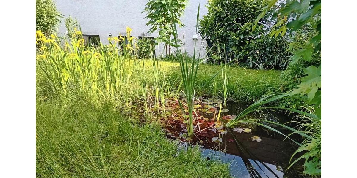 Wohnen auf Zeit Neuhausen auf den Fildern - 1 Zimmer, 17 m&sup2;, 550&euro; | Angebot:24599252