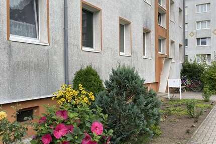Wohnung zum Mieten in Lindow 593 € 79 m²