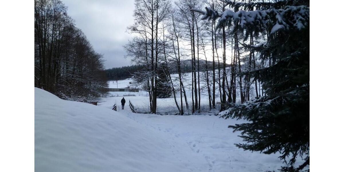 Dachgeschoßwohnung Altenberg Geising - 2 Zimmer, 54 m&sup2;, 369&euro; | Angebot:24981760